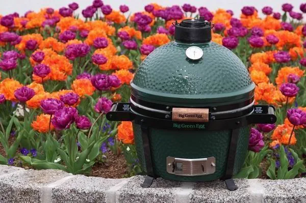 big green egg-minimax-polgrill