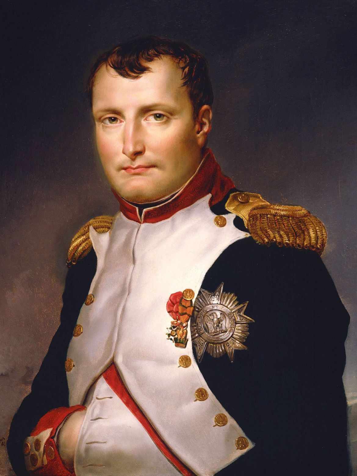 Napoleon-grille gazowe-polgrill