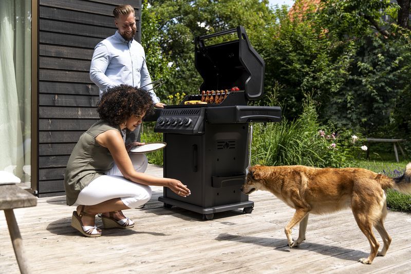 grill-RSE425PHM with dog_polgrill