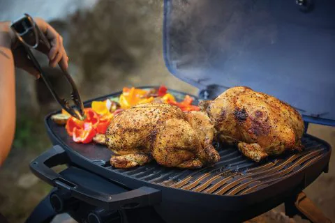 Polgrill-TQ285-BK-1-CE-napoleon-grill-gazowy-na-kartusze-5