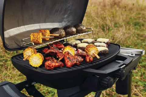 Polgrill-PRO285X-PHM-napoleon-phantom-2