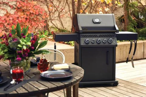 Polgrill-RSE425RSIBPK-1-PL-PHM-Napoleon-galeria