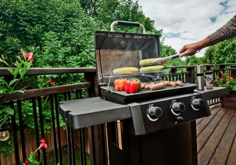 Polgrill-gem-310-shadow-food