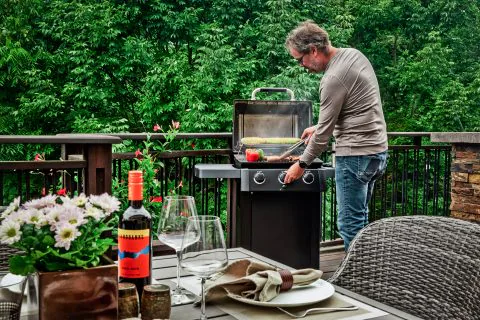 Polgrill-gem-310-shadow-food